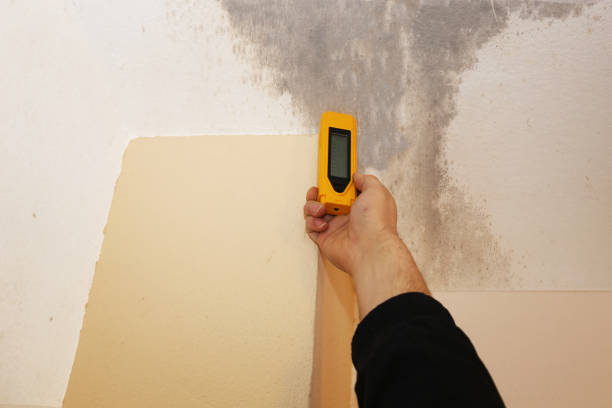 Best Post-Remediation Verification Testing  in Ivins, UT