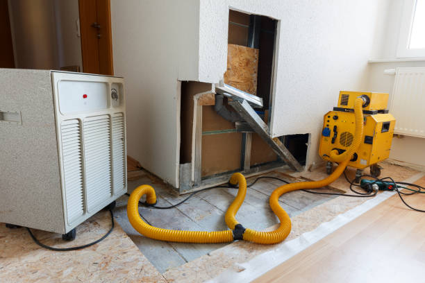  Ivins, UT Mold Removal Pros