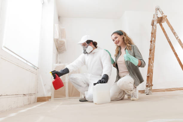 Best Post-Construction Mold Inspection  in Ivins, UT